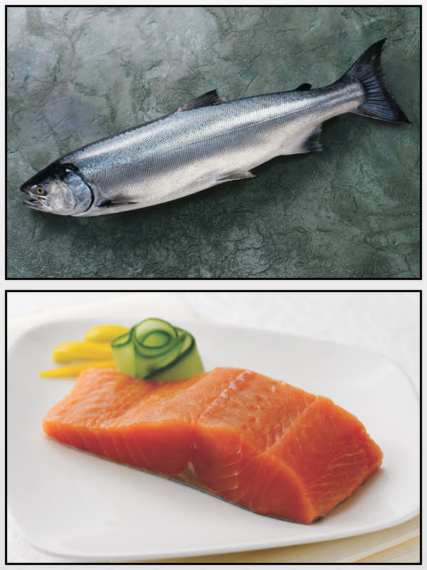 Salmón plateado Alaska seafood