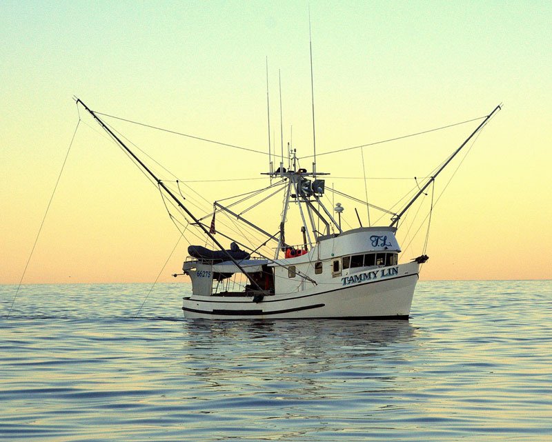 Pesca al curricán Alaska seafood