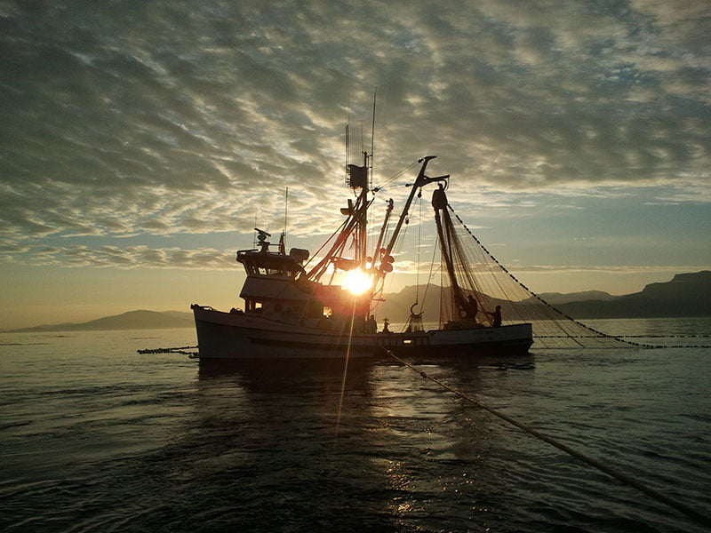 Pesca de cerco de jareta a la puesta del sol