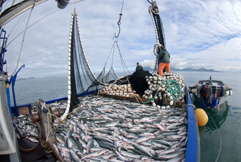 pesca con redes de enmalle Alaska seafood